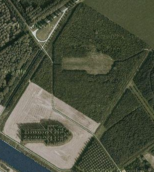 La catedral verde — De Groene Kathedraal en Turismo Google