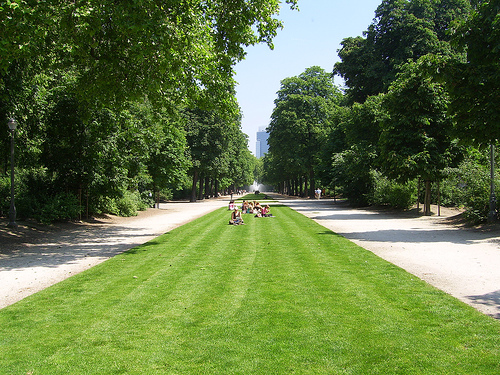 zomer in het park